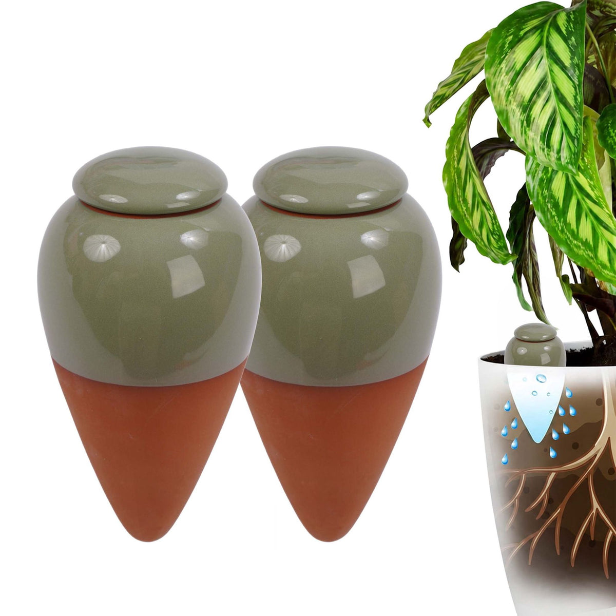 Clay Watering Cones with Lids, 350ml, 2-Pack, Sage