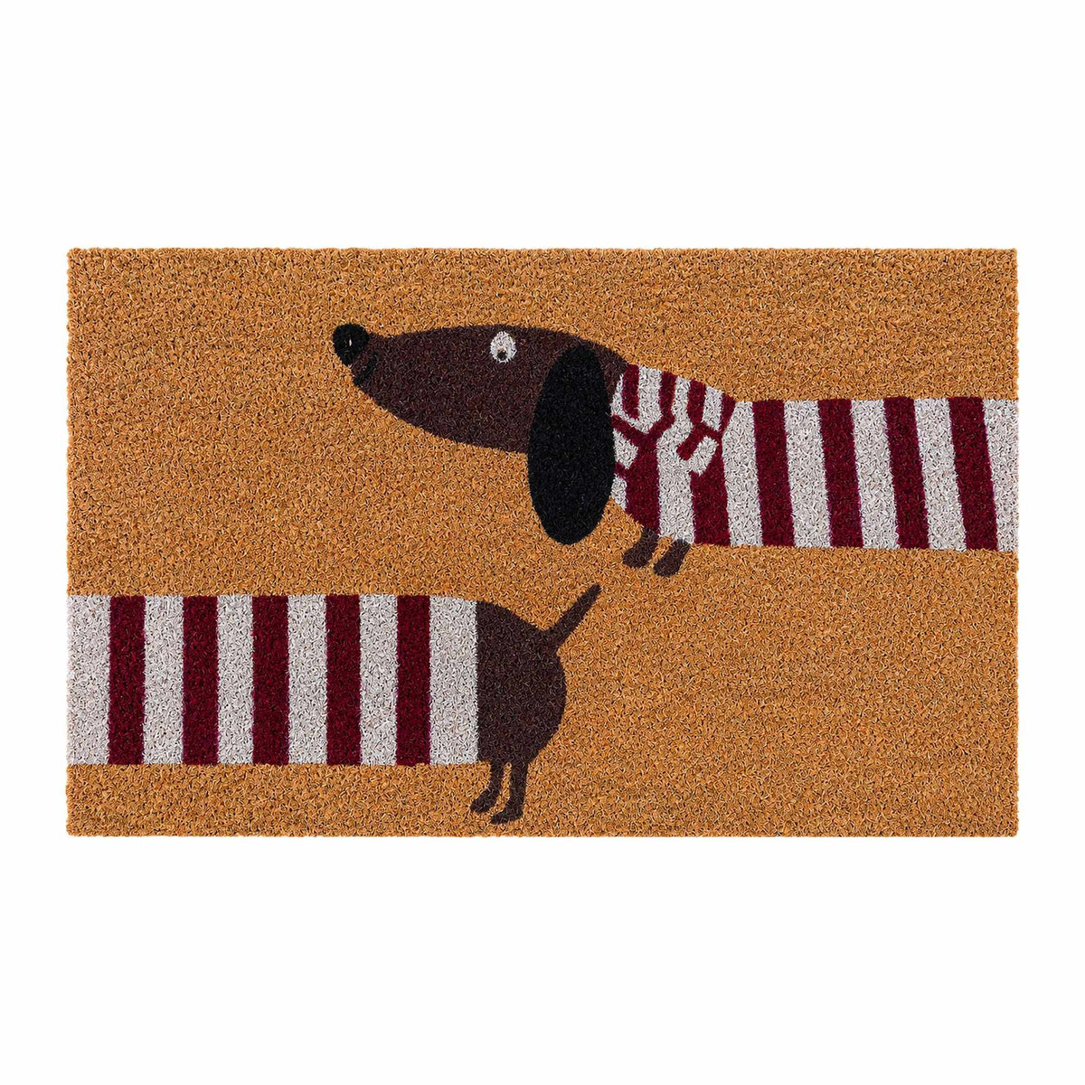 Coconut Animal Doormat, 60x40 cm, Non-Slip Backing