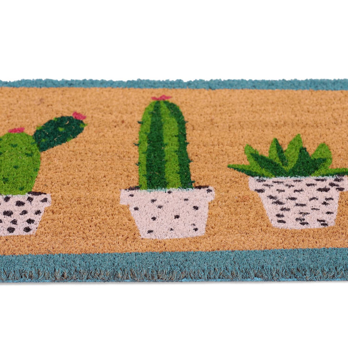 Coconut Doormat Cactus