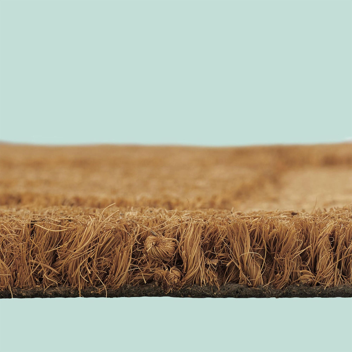 Coconut Fiber Animal Doormat, 80x50 cm, Indoor/Outdoor