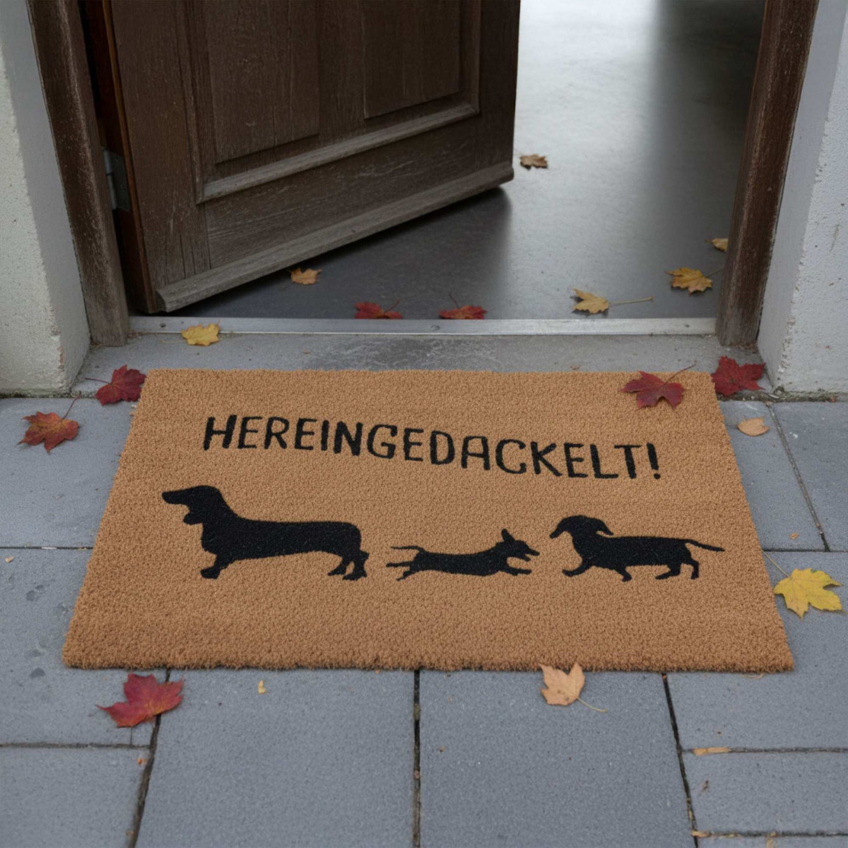 Coconut Fiber Animal Doormat, 80x50 cm, Indoor/Outdoor