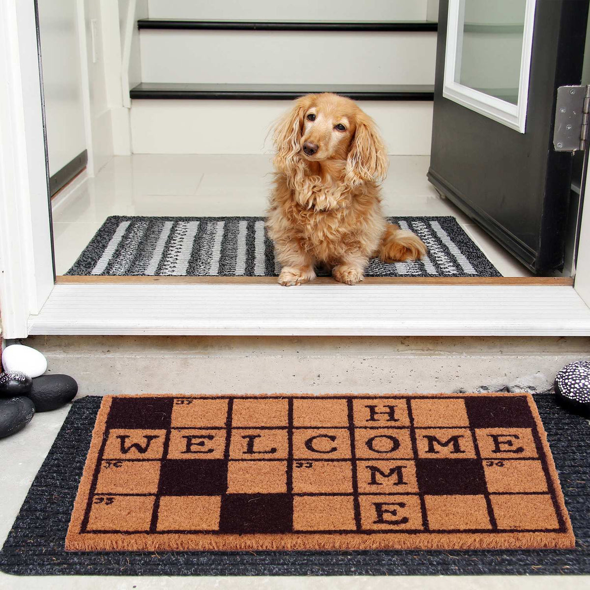 Coconut doormat crossword puzzle