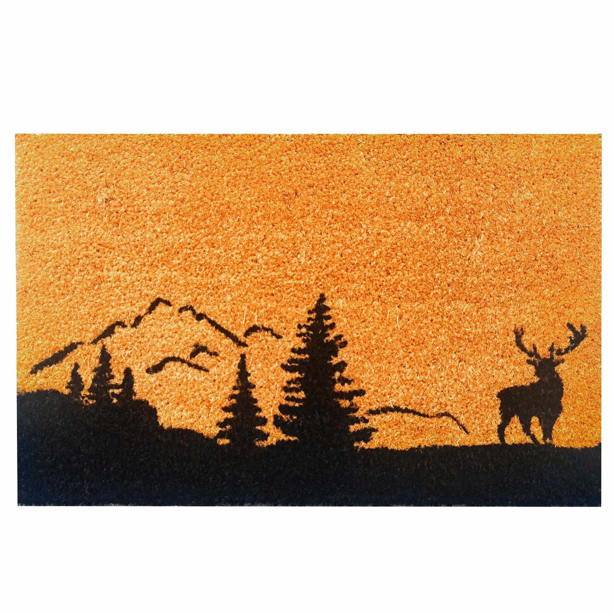 Coir Doormat, 60x40 cm, Decorative Design