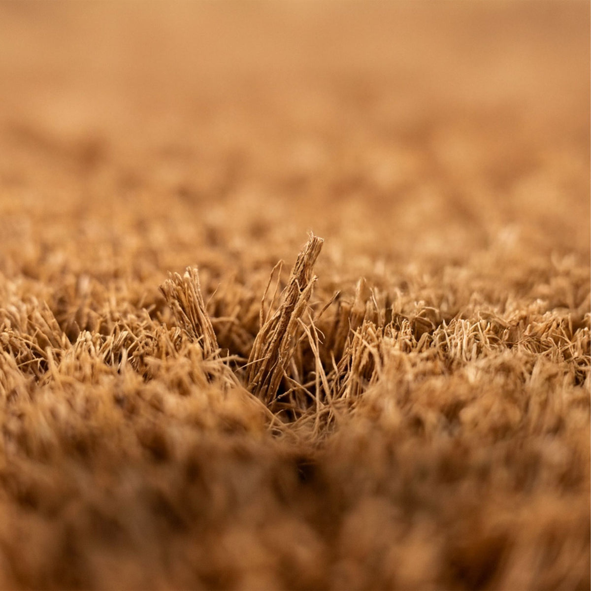 Coir Welcome Doormat, Non-Slip, 60x40 cm, Outdoor/Indoor