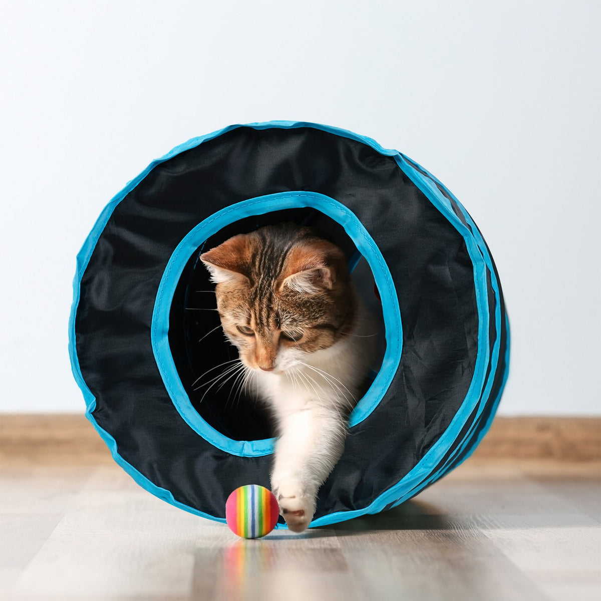Collapsible cat tunnel with 3 exits