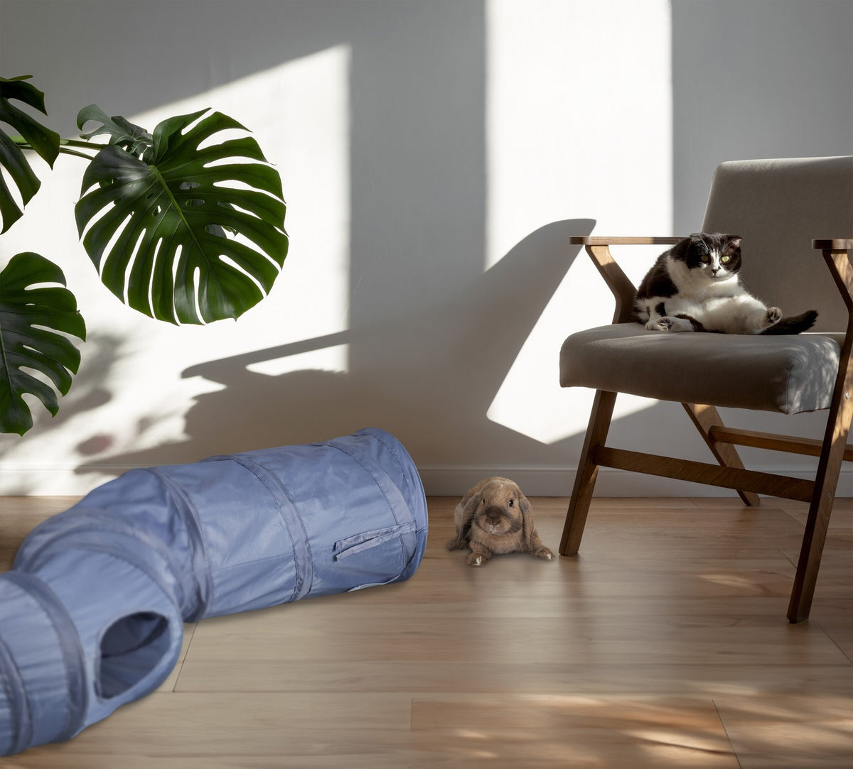 Collapsible cat tunnel with cat cave