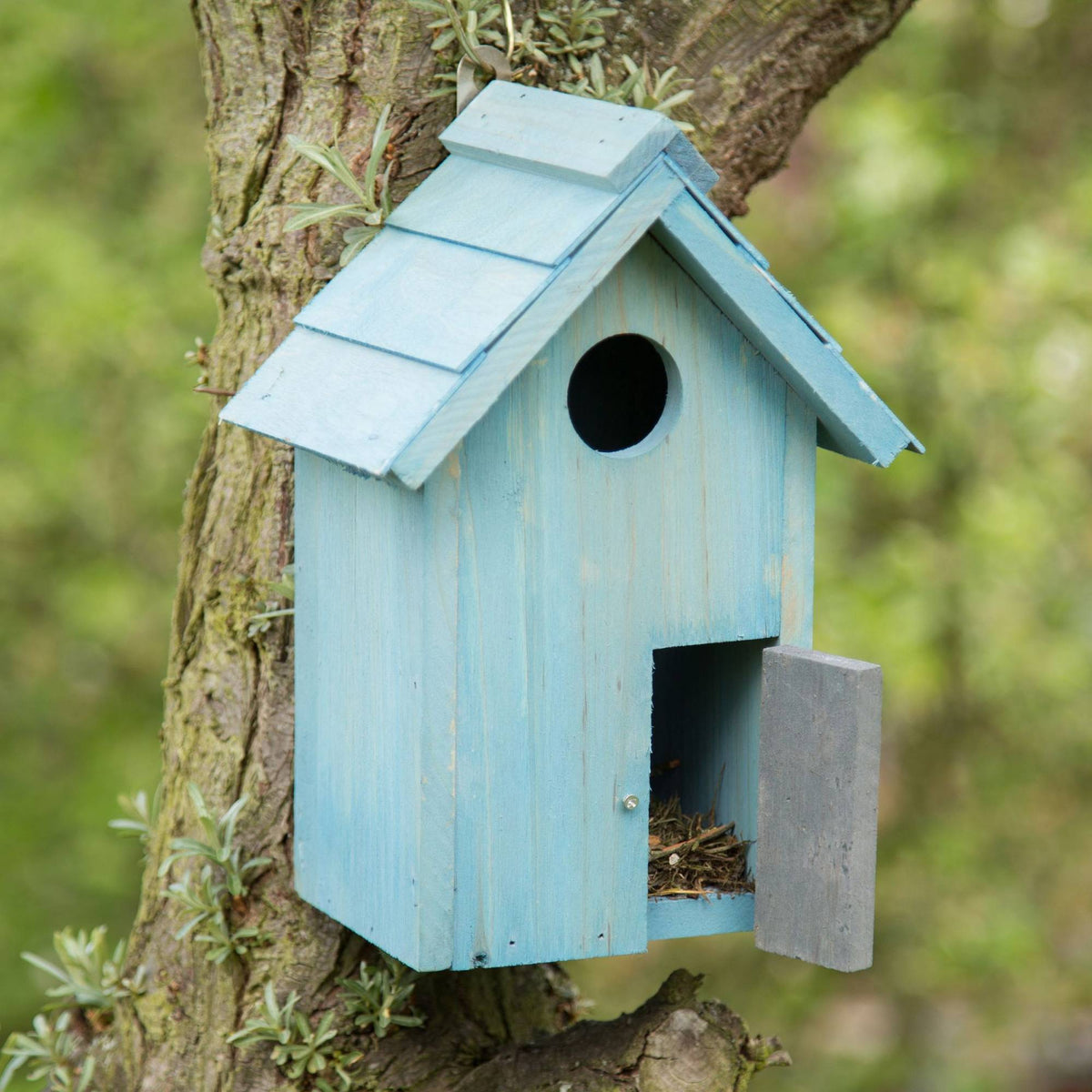 Colorful birdhouse