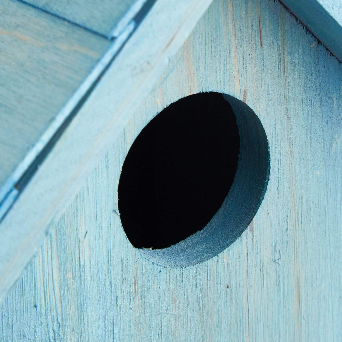 Colorful birdhouse