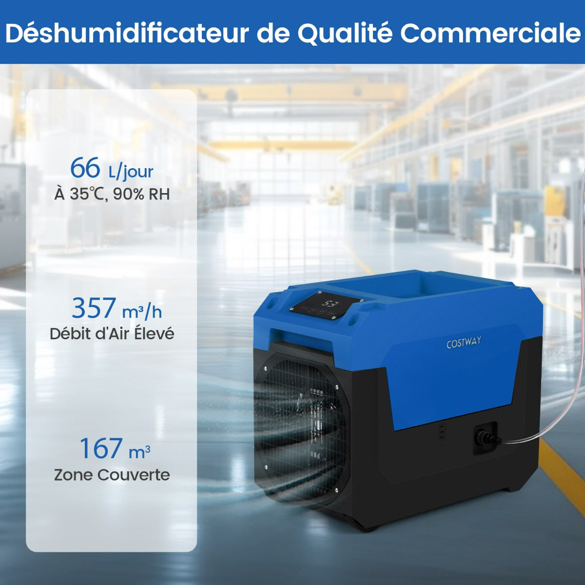 Commercial Dehumidifier 66 L/Day, Pump Drain, 167 m²