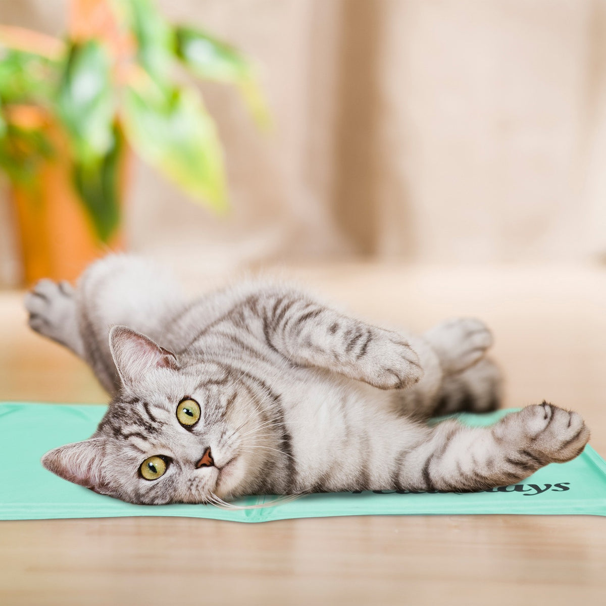 Cooling mat for dogs