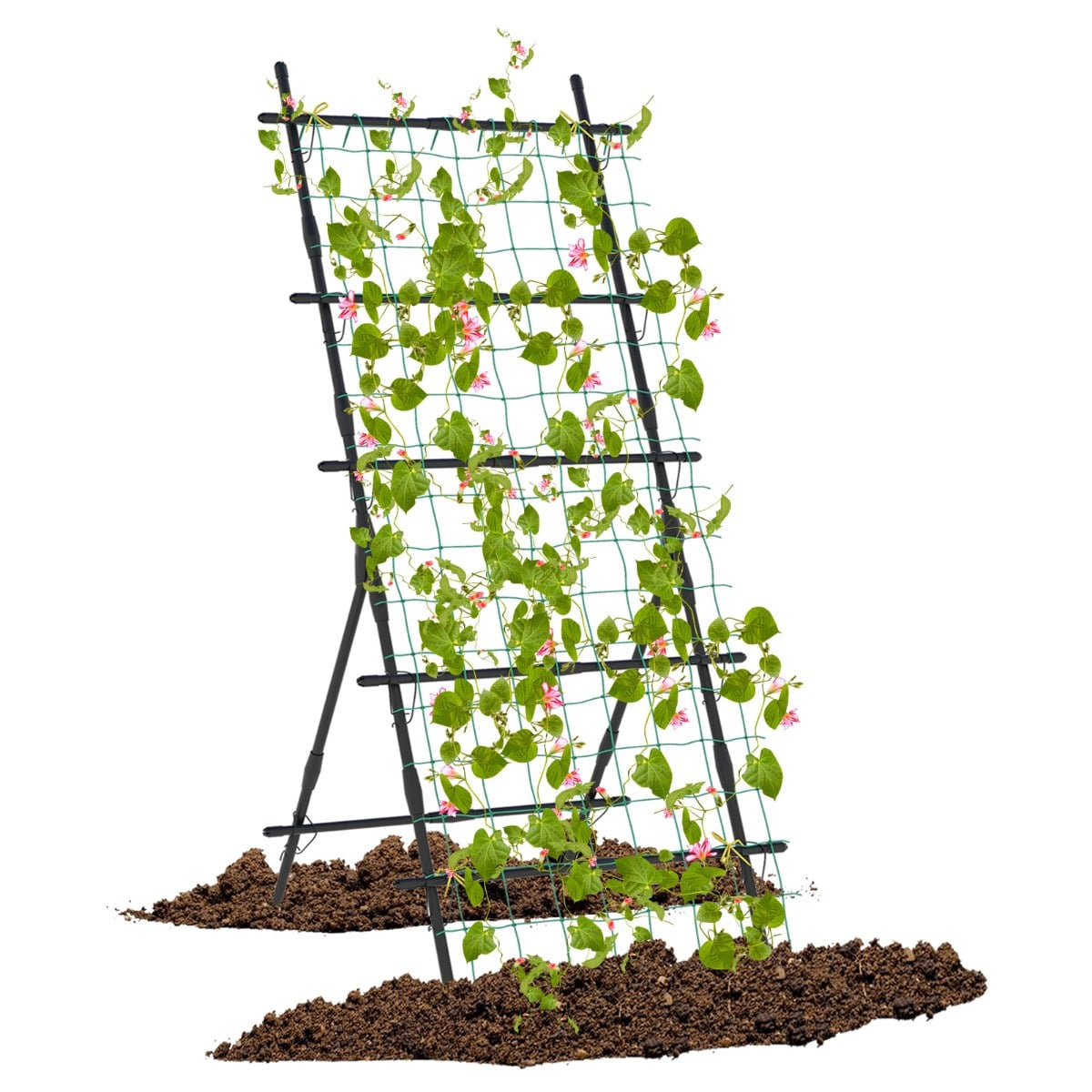 Cucumber Trellis with Net, 187 cm Tall, PE-Coated Metal