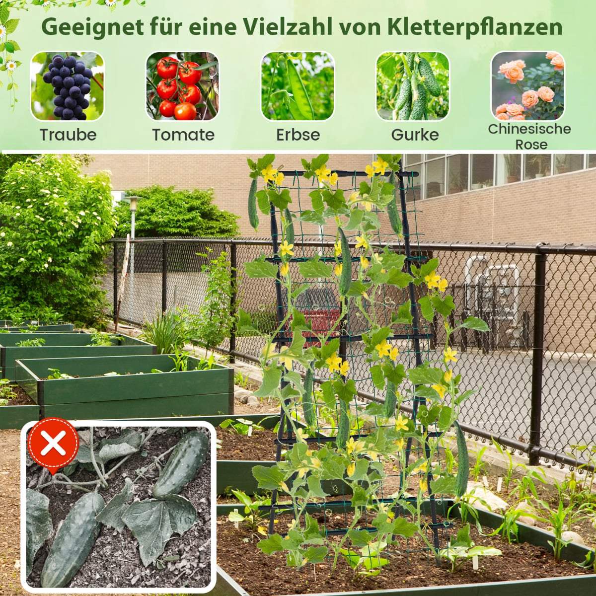 Cucumber Trellis with Net, 187 cm Tall, PE-Coated Metal
