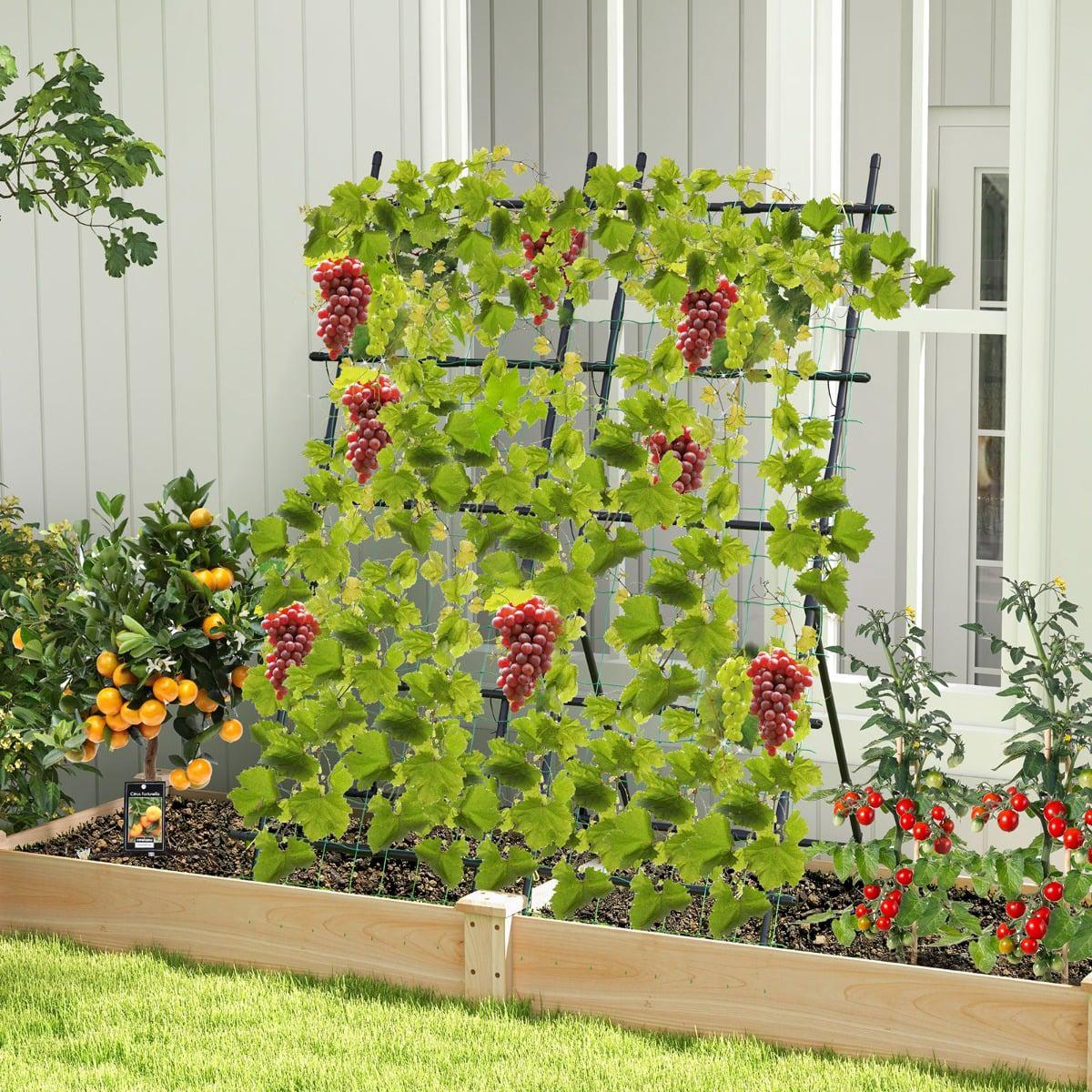 Cucumber Trellis with Net, 187 cm Tall, PE-Coated Metal