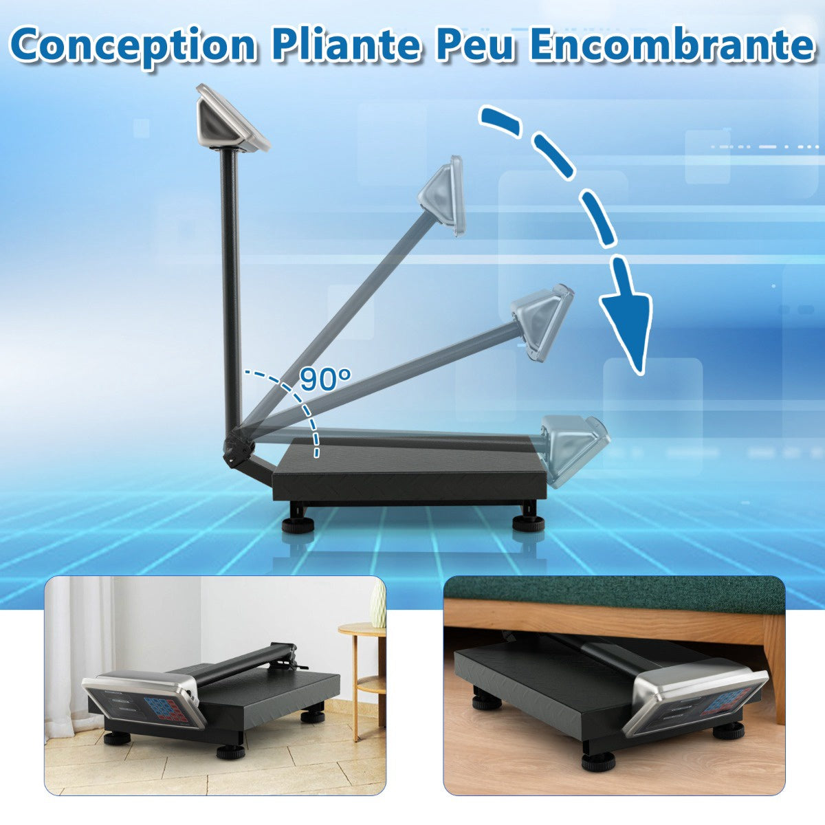 Digital Platform Scale 300 kg, 0.05 kg, Price Calculator