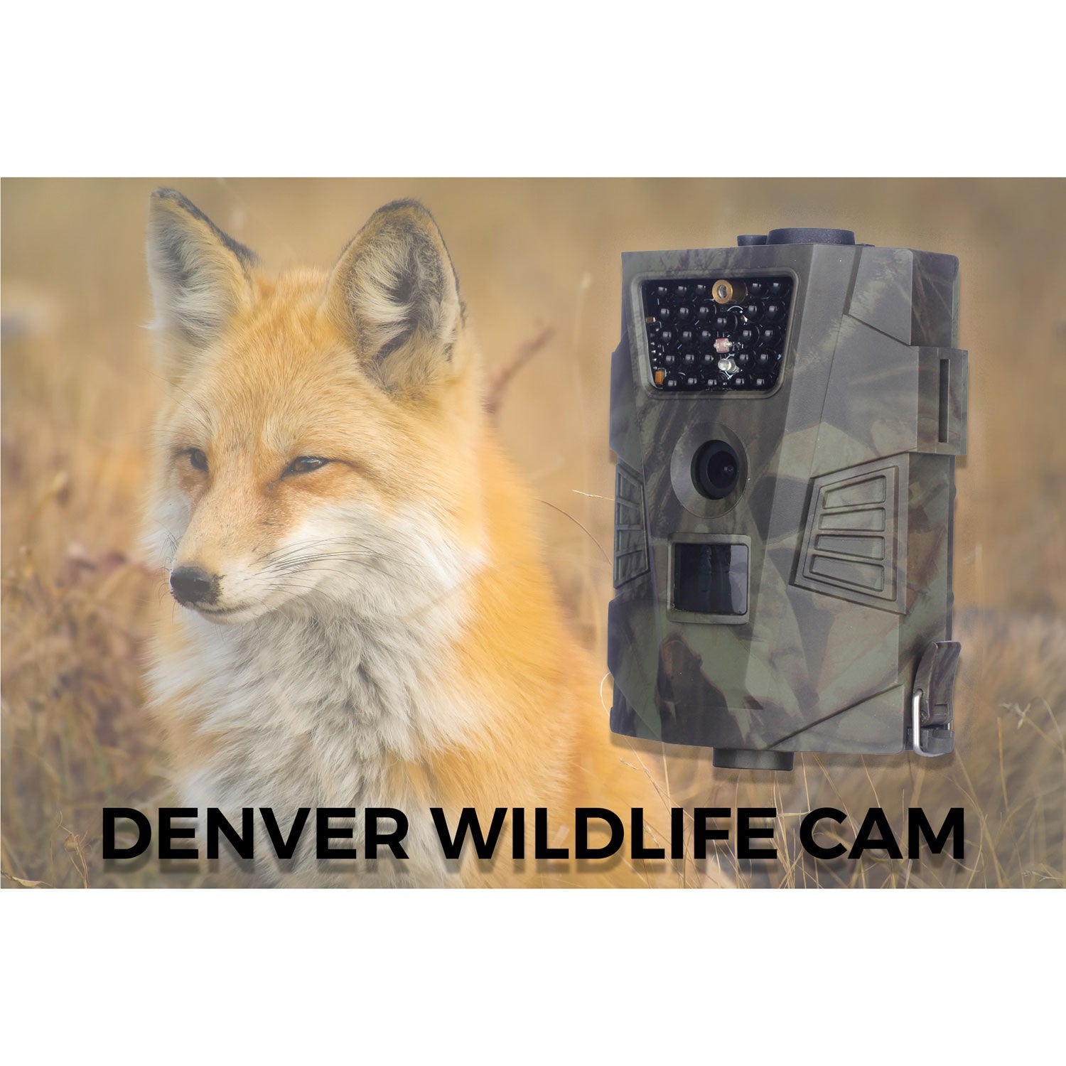 Digital åtel camera with 5mp CMOS sensor and 30 IR LEDs for night vision