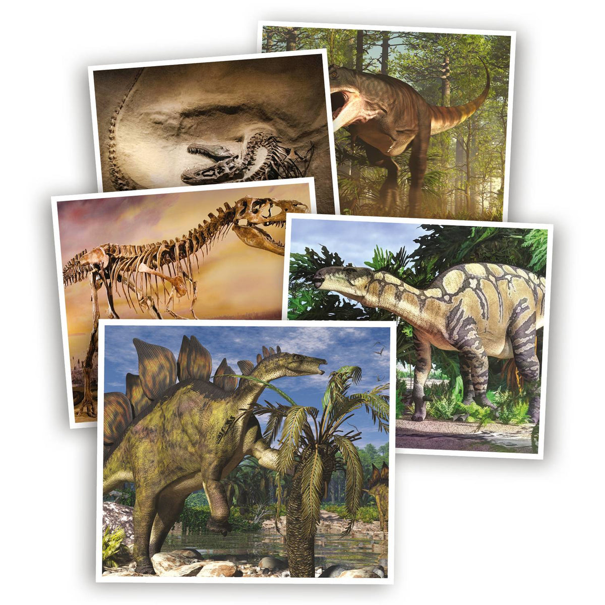 Dinosaur Quiz Game for Kids, Fun & Educational, Ages 7+