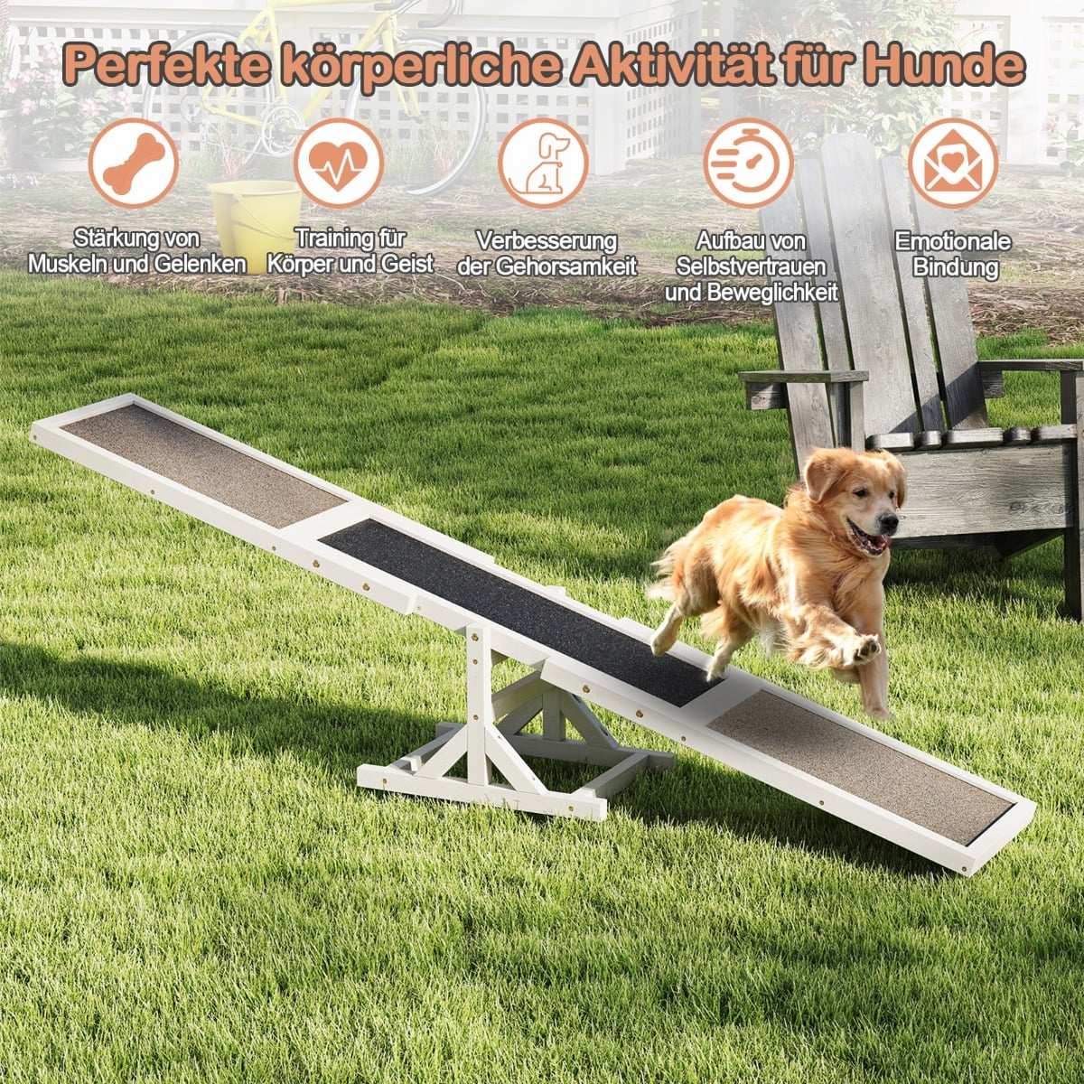 Dog Agility Seesaw – Durable Wood, Non-Slip Surface