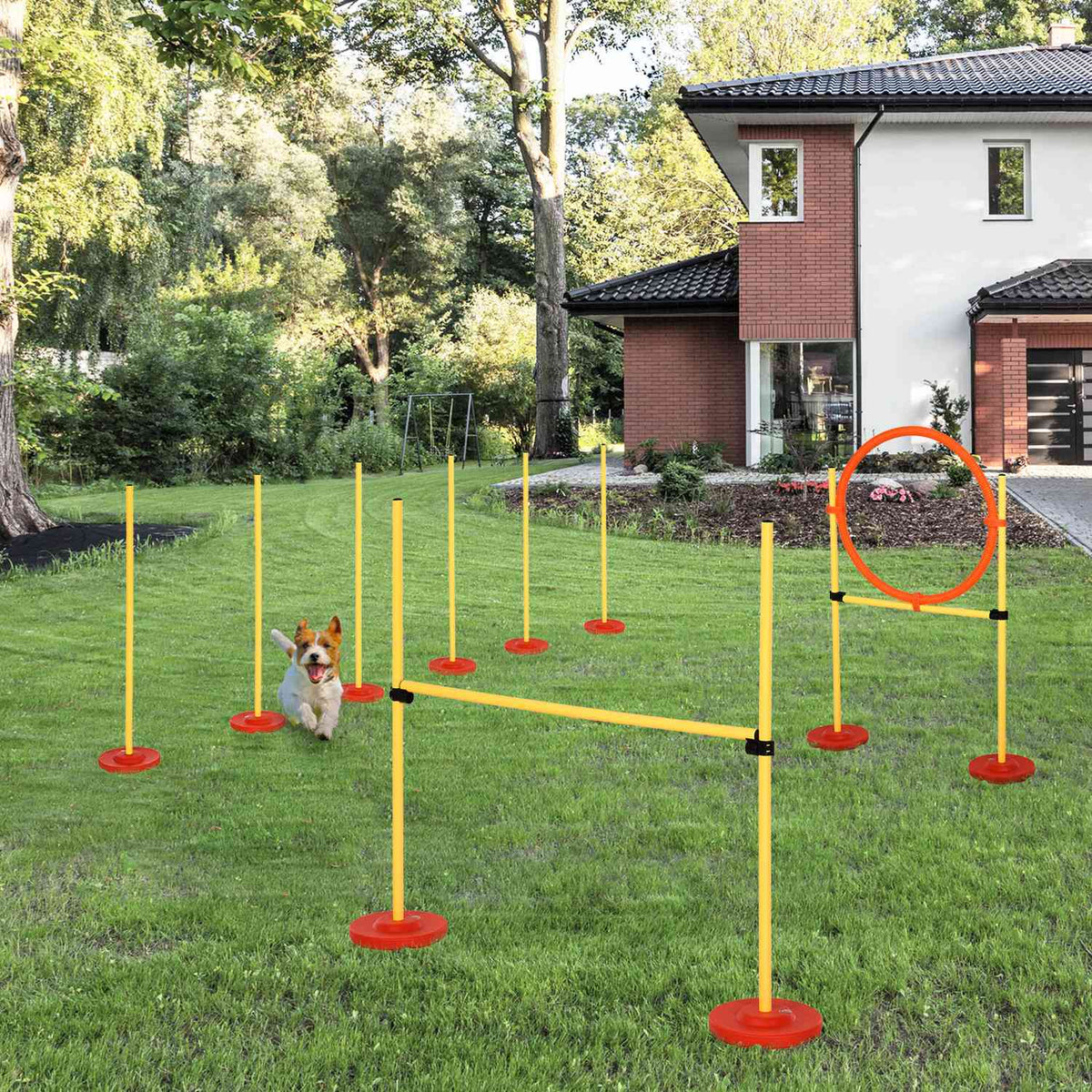 Dog Agility Set 3-In-1 Hurdle Training For Pets, Includes Bag, Easy To Carry, Yellow