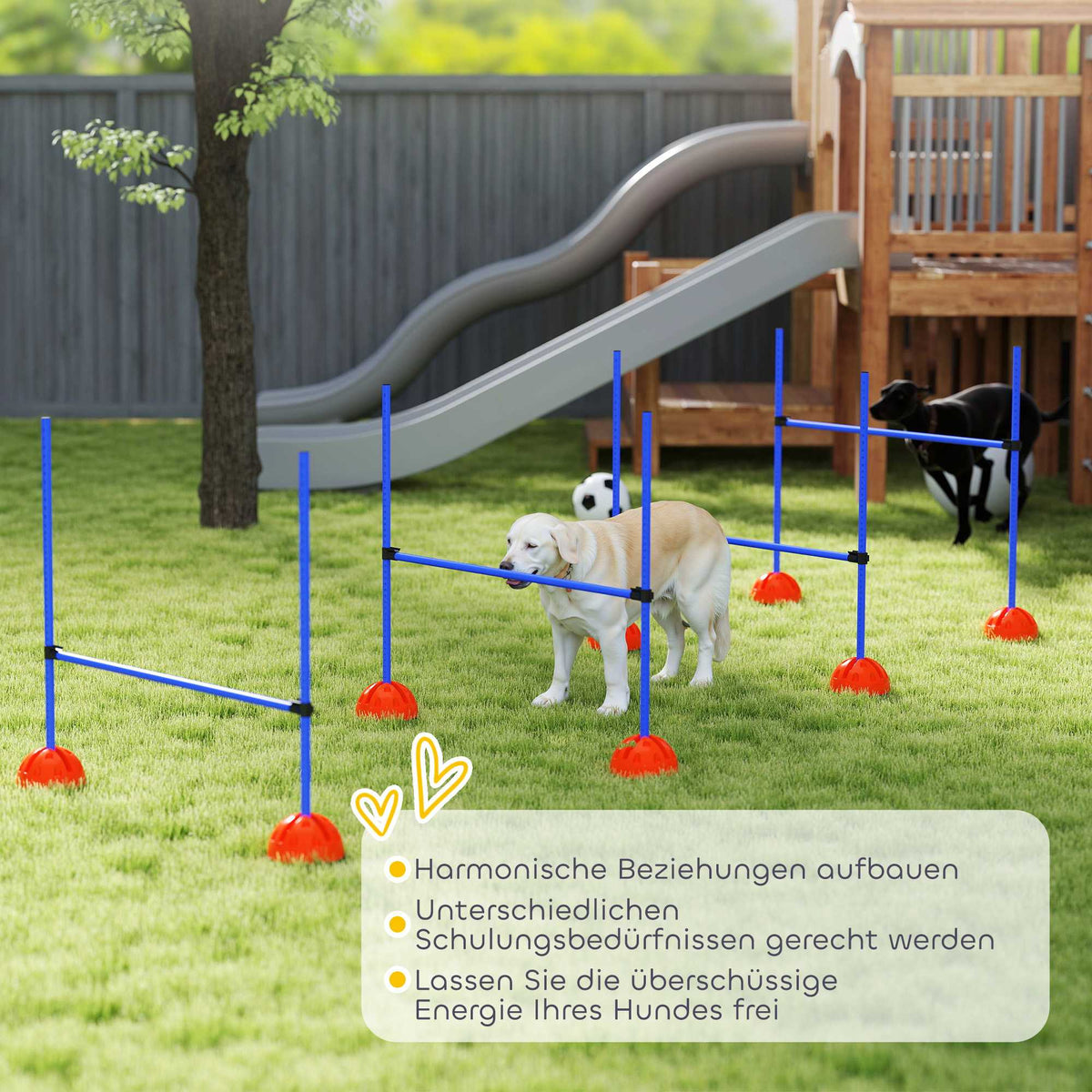 Dog Agility Set, 4 Adjustable Hurdles with Carry Bag
