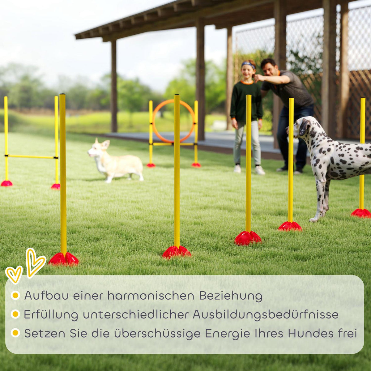 Dog Agility Set, 4-piece fillable agility equipment for dog training, hurdle set with slalom poles, height-adjustable, hurdles, jump ring, coordination training for games, training