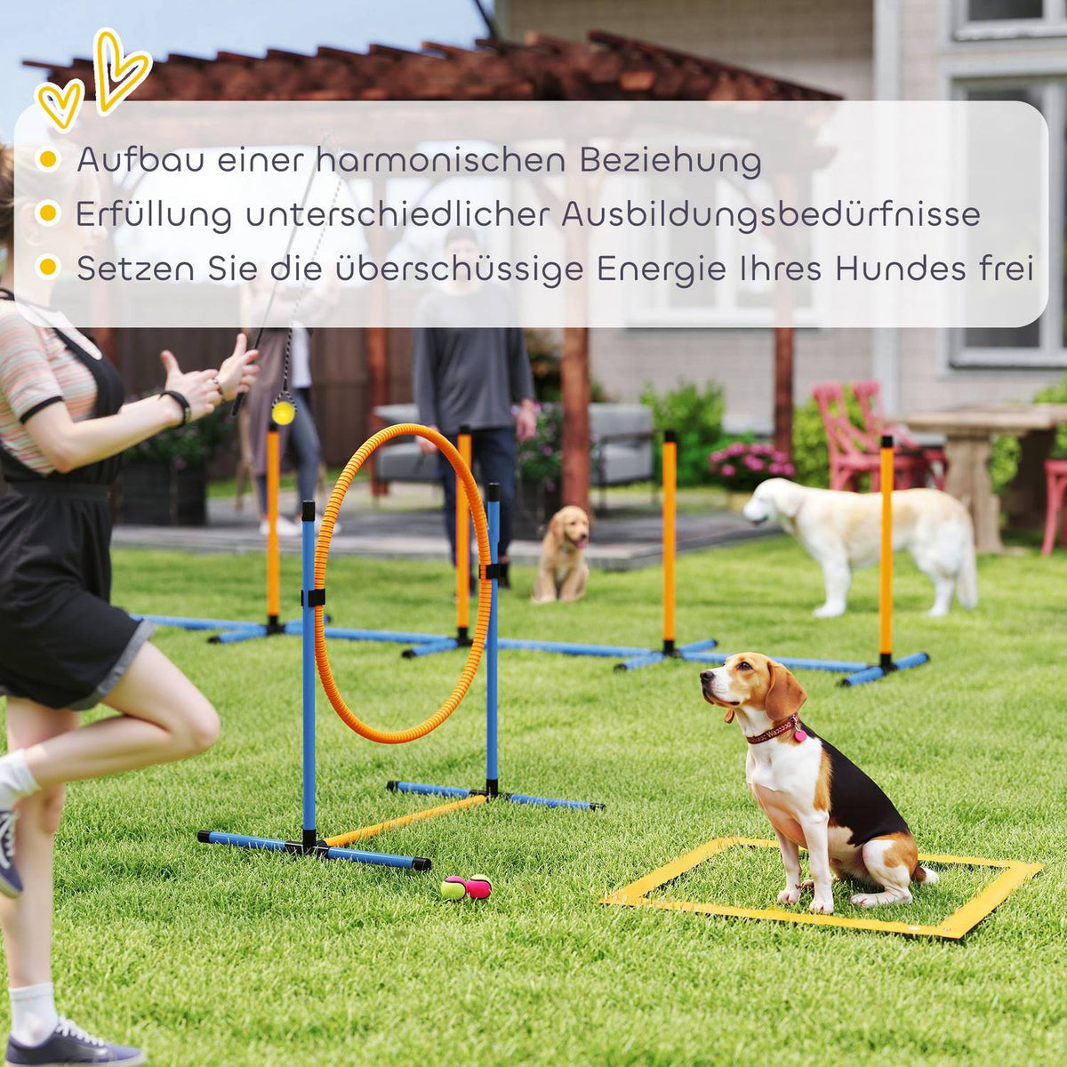 Dog Agility Set 9 Pieces Agility Equipment for Dog Training Hurdle Set with Slalom Poles Jump Hoop 2 Balls Height Adjustable Hurdles Coordination Training for Games Training