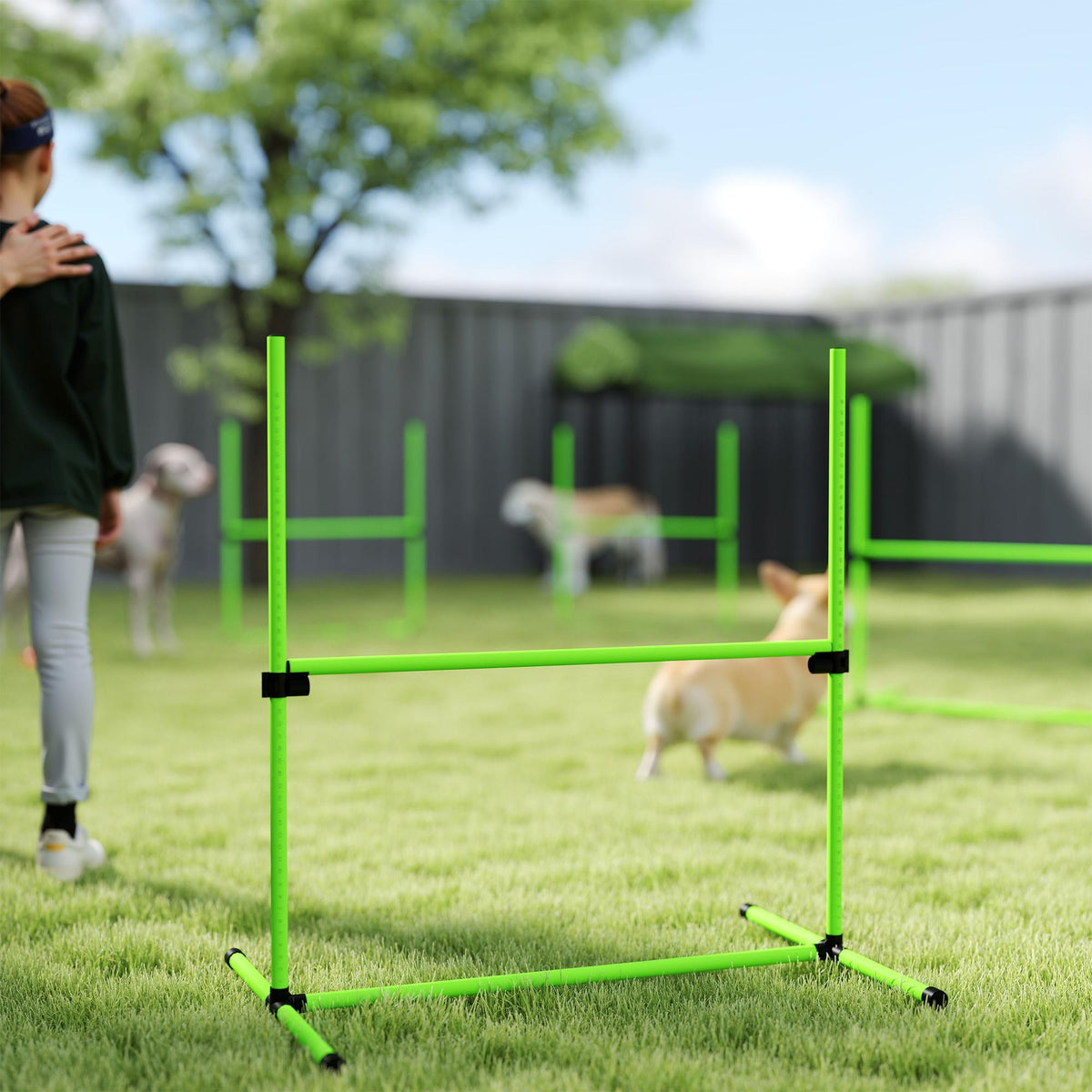 Dog Agility Set, Adjustable Hurdles with Carry Bag