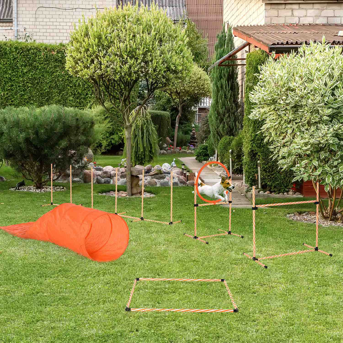 Dog Agility Set Dog Training Set With Dog Tunnel Training For Pets Includes Bag Easy To Carry Plastic Polyester Orange＋White