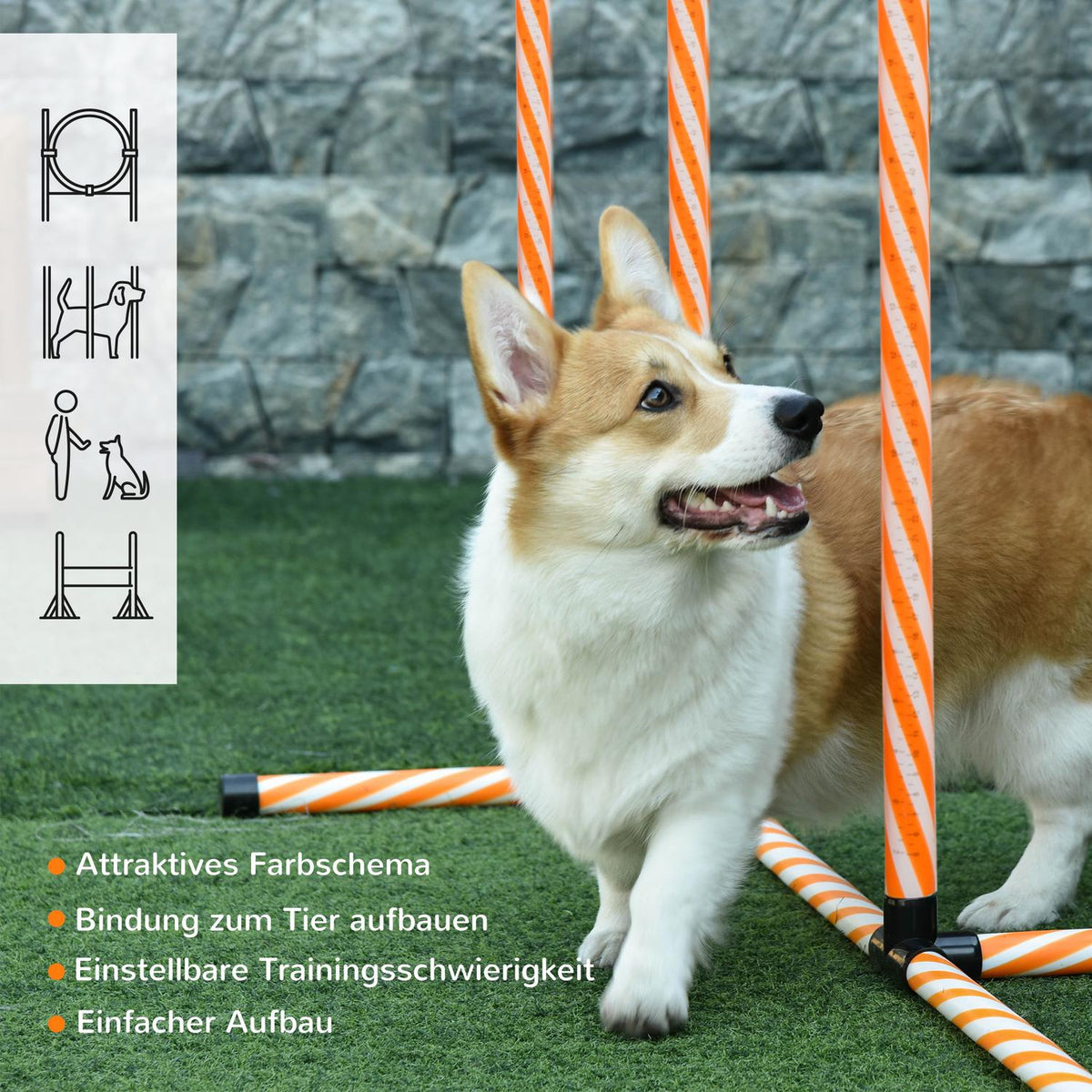 Dog Agility Set Dog Training Set With Dog Tunnel Training For Pets Includes Bag Easy To Carry Plastic Polyester Orange＋White