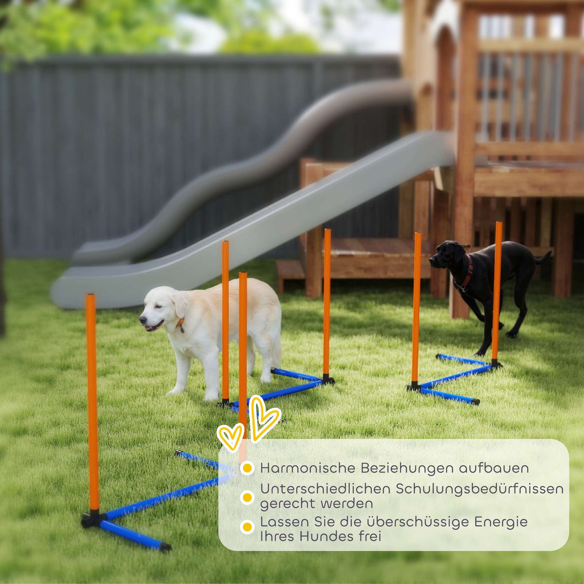 Dog Agility Set, Portable with Adjustable Slalom Poles