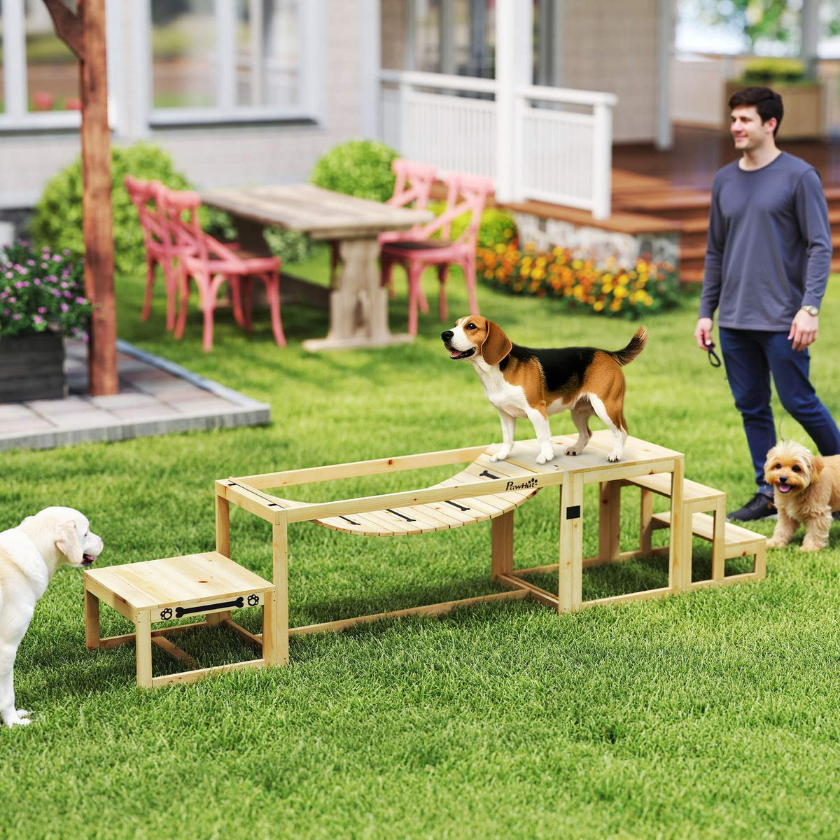 Dog Agility Set, Set of 4 Dog Training with Bridge, Stairs, Platform, Agility Equipment Made of Fir Wood for Large Dogs up to 40 kg, Natural Wood