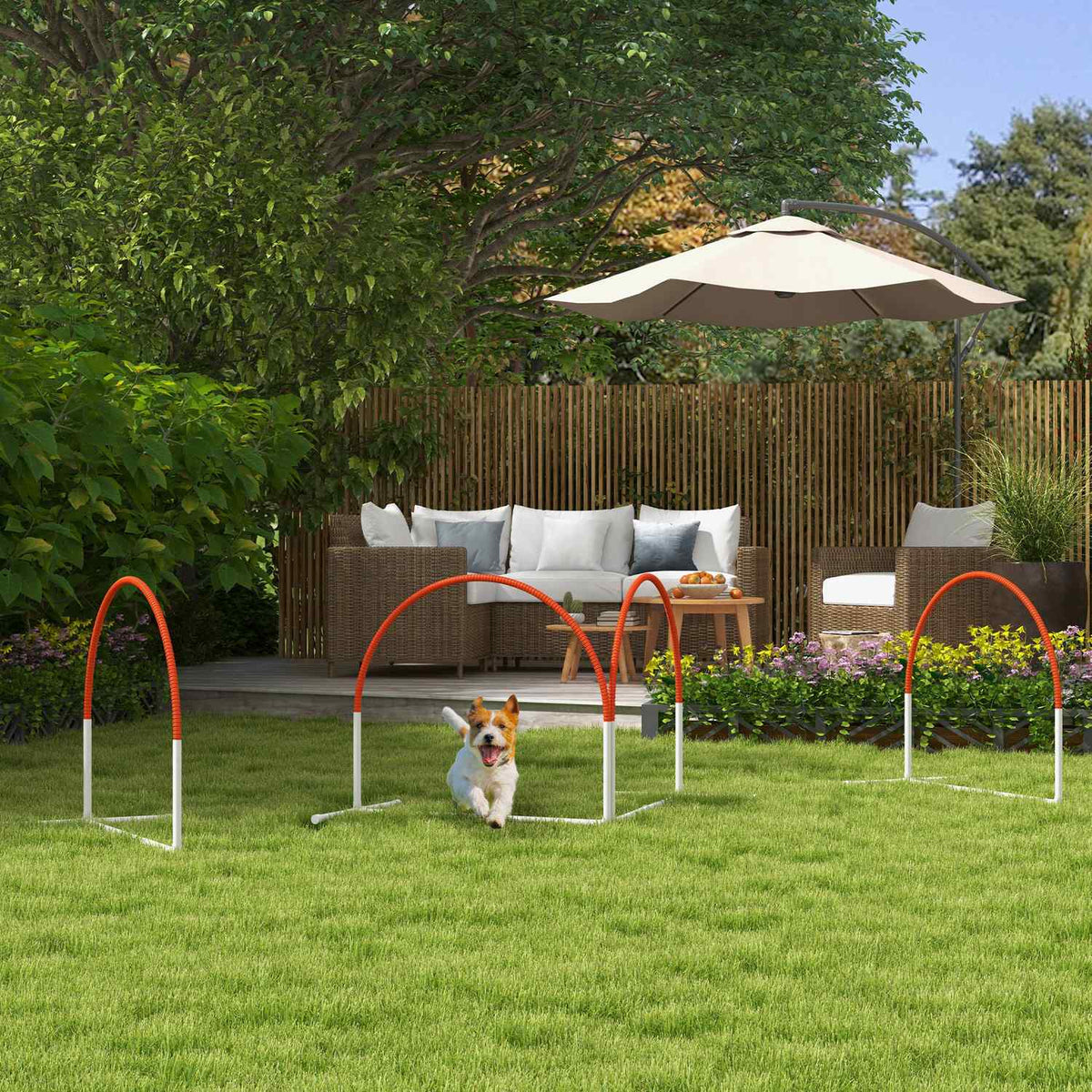 Dog Agility Set, Set of 4 Dog Training with Slalom Poles, Agility Equipment for Dogs with Oxford Carry Bag, Orange