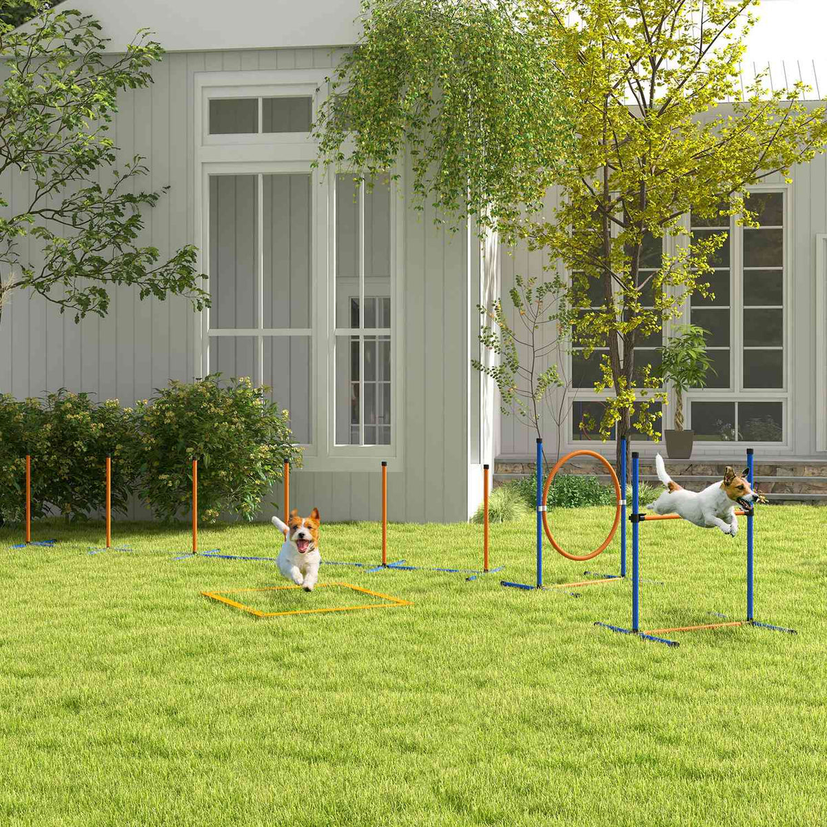 Dog Agility Set, set of 4 dog training with height-adjustable agility hurdles, braided poles, break box, jumping ring, hurdle set