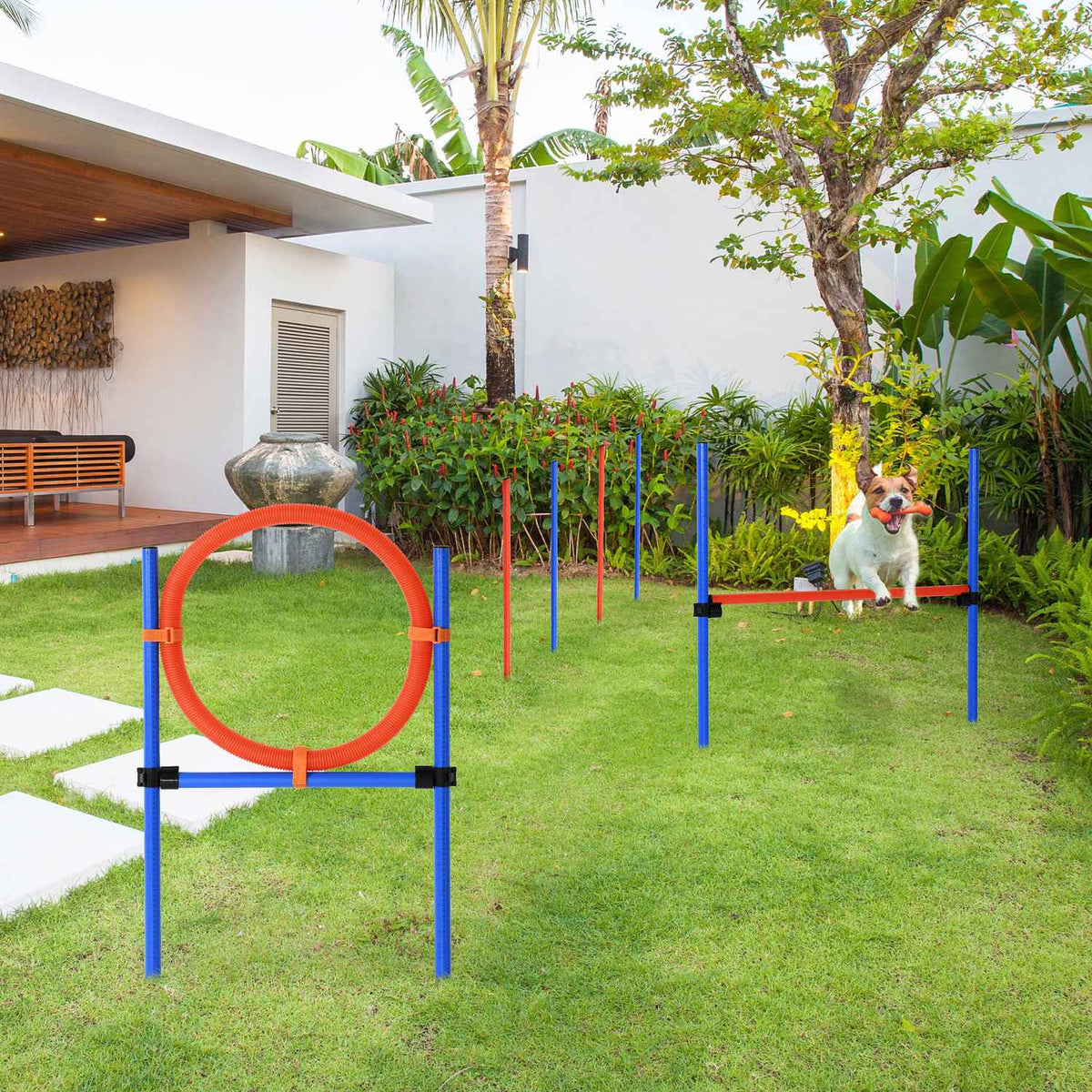 Dog Agility Training Equipment, Agility Exercise Set, Dog Agility Set, 3 In 1 Dog Sports Training Area, Blue+Red