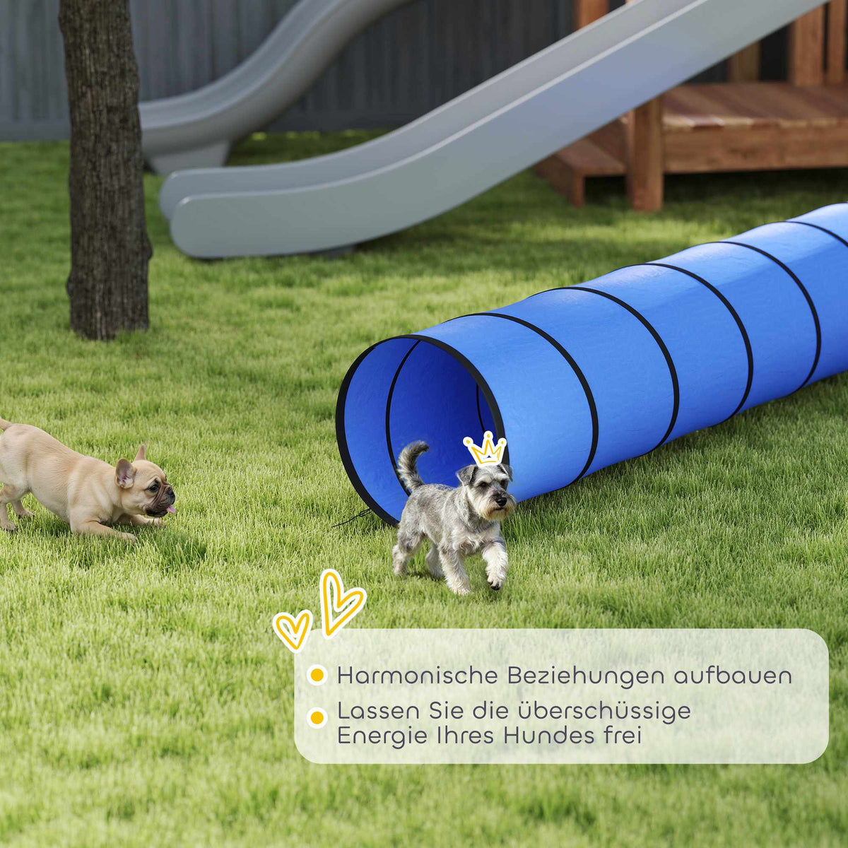 Dog Agility Tunnel, 300cm, Oxford Fabric, with Anchors