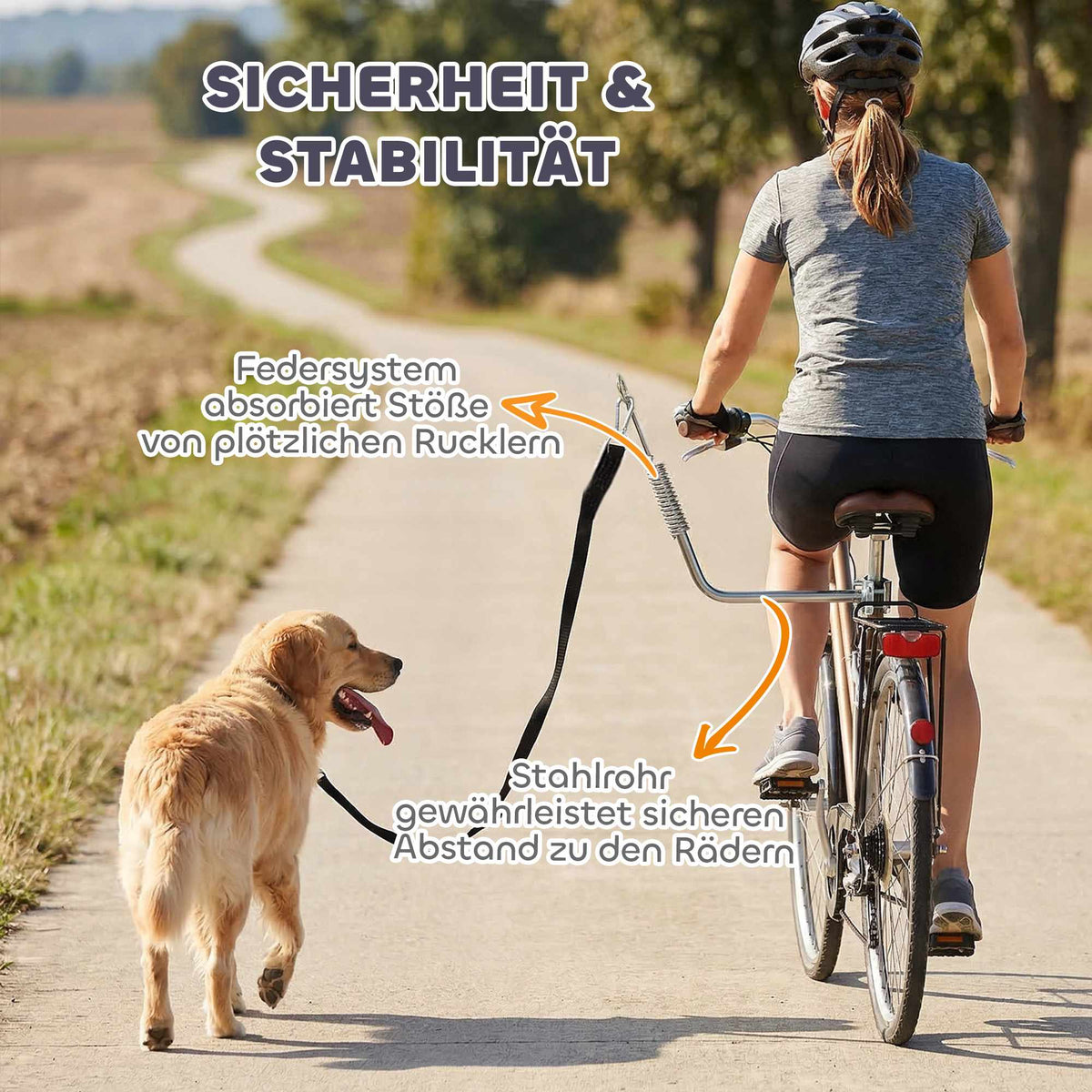 Dog Bike Leash with Shock Absorbers, Adjustable, Silver/Black