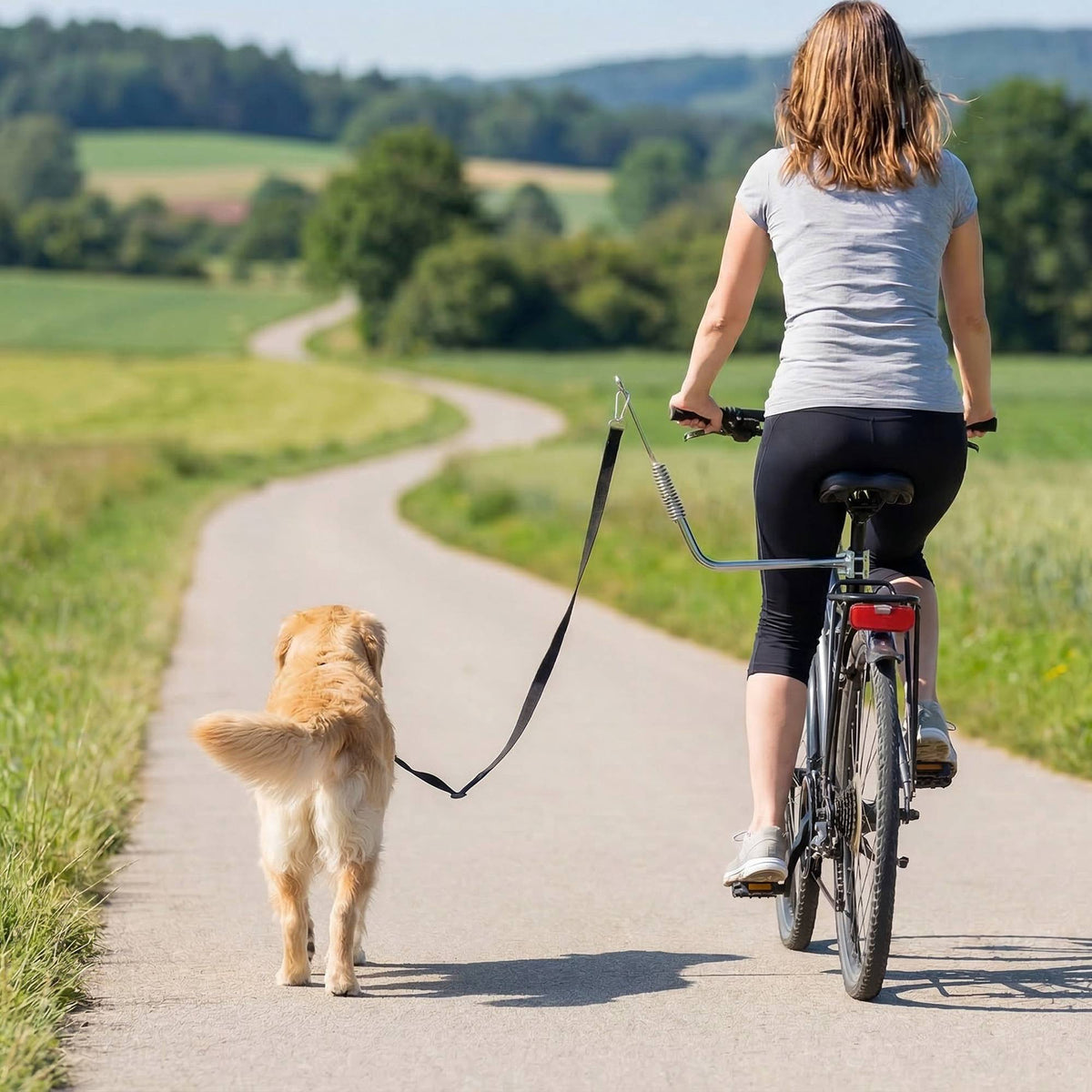 Dog Bike Leash with Shock Absorbers, Adjustable, Silver/Black