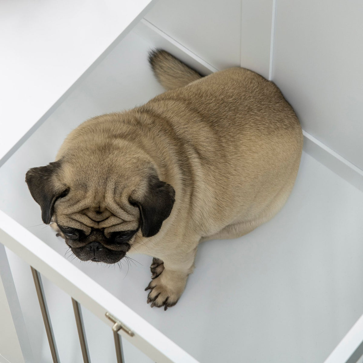 Dog Cage, Dog House, Pet Cage For Medium Dogs, Dog Crate With Doors, Dog House, Transport Cage, White, 80 X 50 X 56.5 Cm