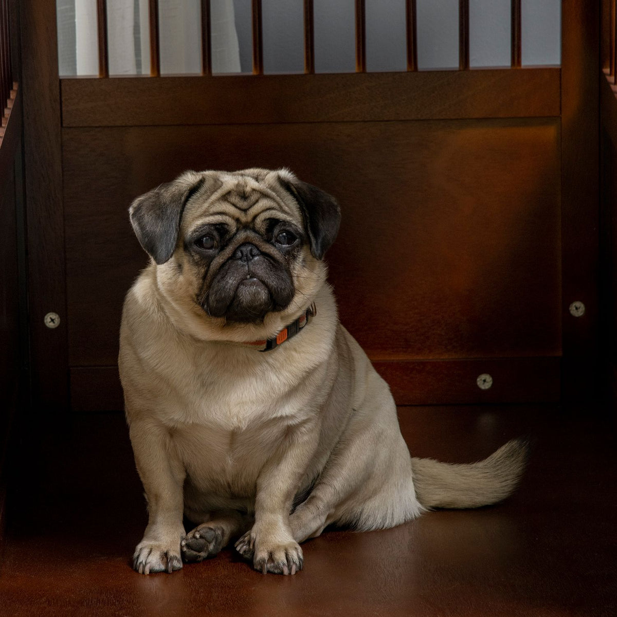 Dog Cage With Table Top Stylish Dog Kennel For Medium Dogs Indoor, Lockable Door, Brown, 80.5X59.5X67.5Cm