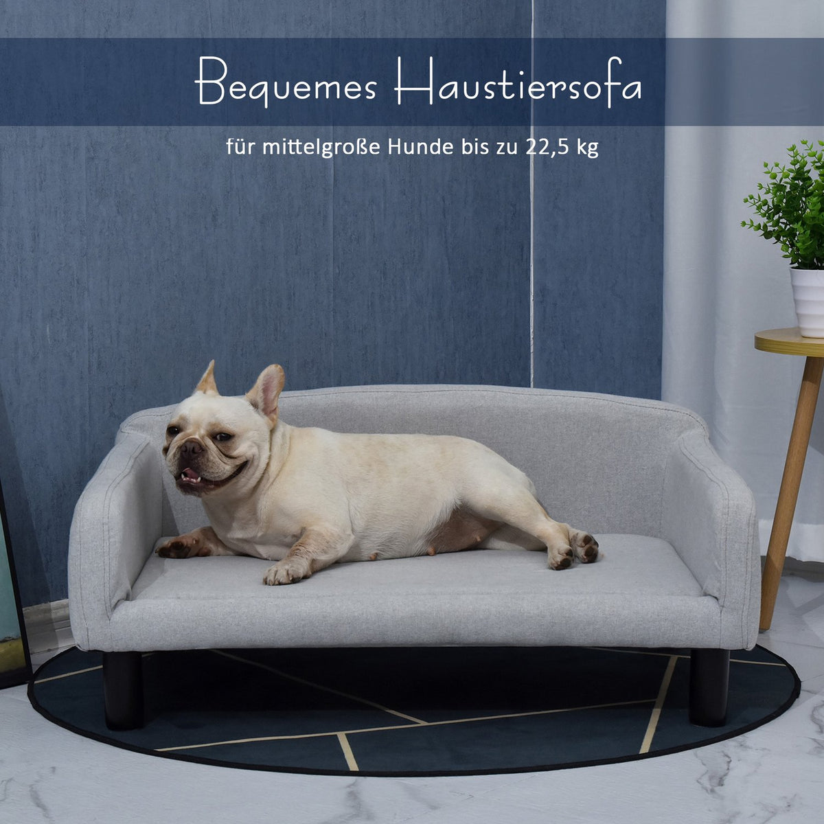 Dog Sofa Stylish Pet Sofa With Cover & Wooden Legs, 82X54X36Cm