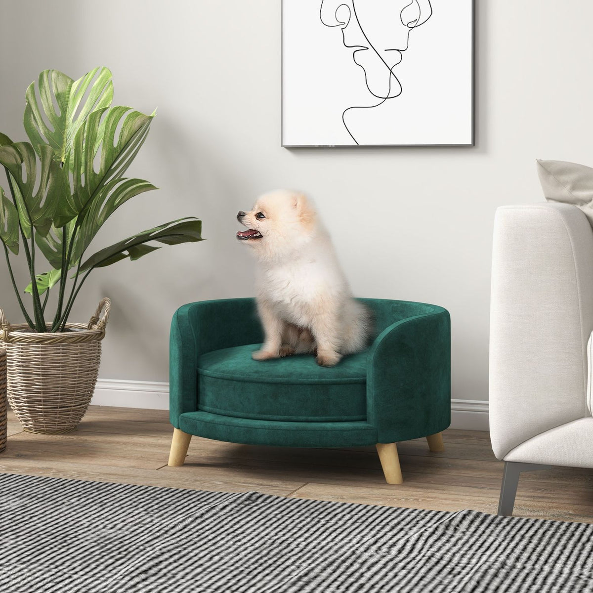 Dog Sofa Velvet Look Pet Sofa With Cushion, Raised Design & Wooden Legs, Green