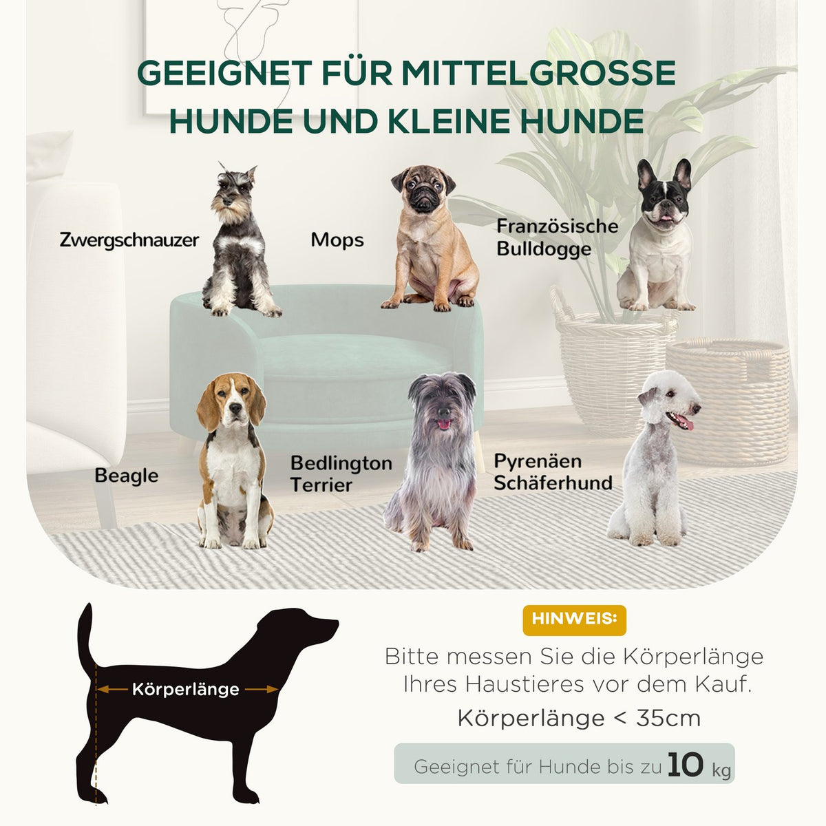 Dog Sofa Velvet Look Pet Sofa With Cushion, Raised Design & Wooden Legs, Green