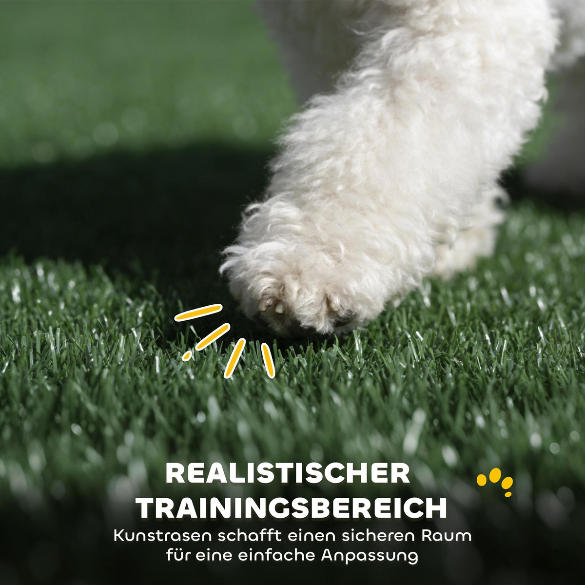 Dog Toilet with Artificial Grass, High Walls, Drainage, 75x51 cm
