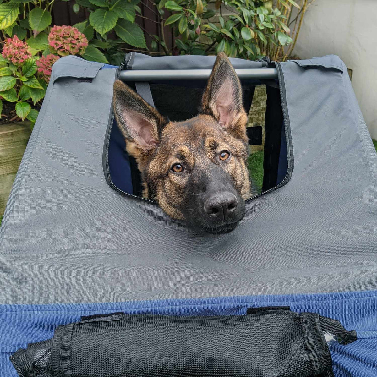 Dog Trailer Bicycle Trailer Dog Transporter Dog Bicycle Trailer Oxford Fabric Rain Cover Breathable Blue 130 X 73 X 90 Cm