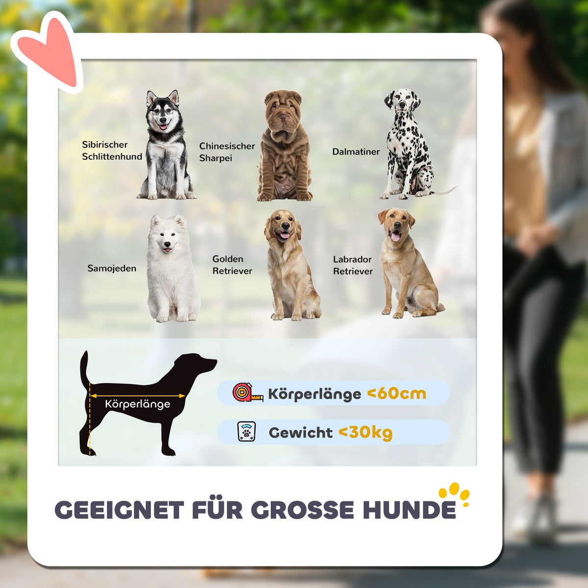 Dog buggy foldable for dogs & cats up to 30 kg 110 x 65 x 102 cm dark grey