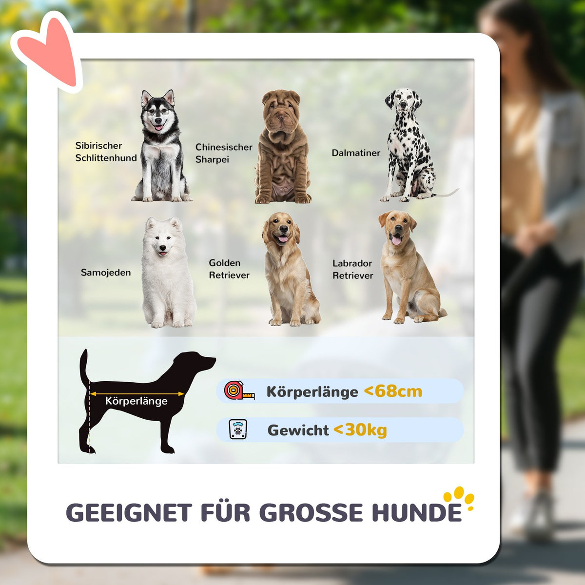 Dog stroller dog buggy foldable for large dogs & cats up to 30 kg cat buggy with cushions mesh windows doors storage bag cat stroller with safety lines, brakes, buggy gray