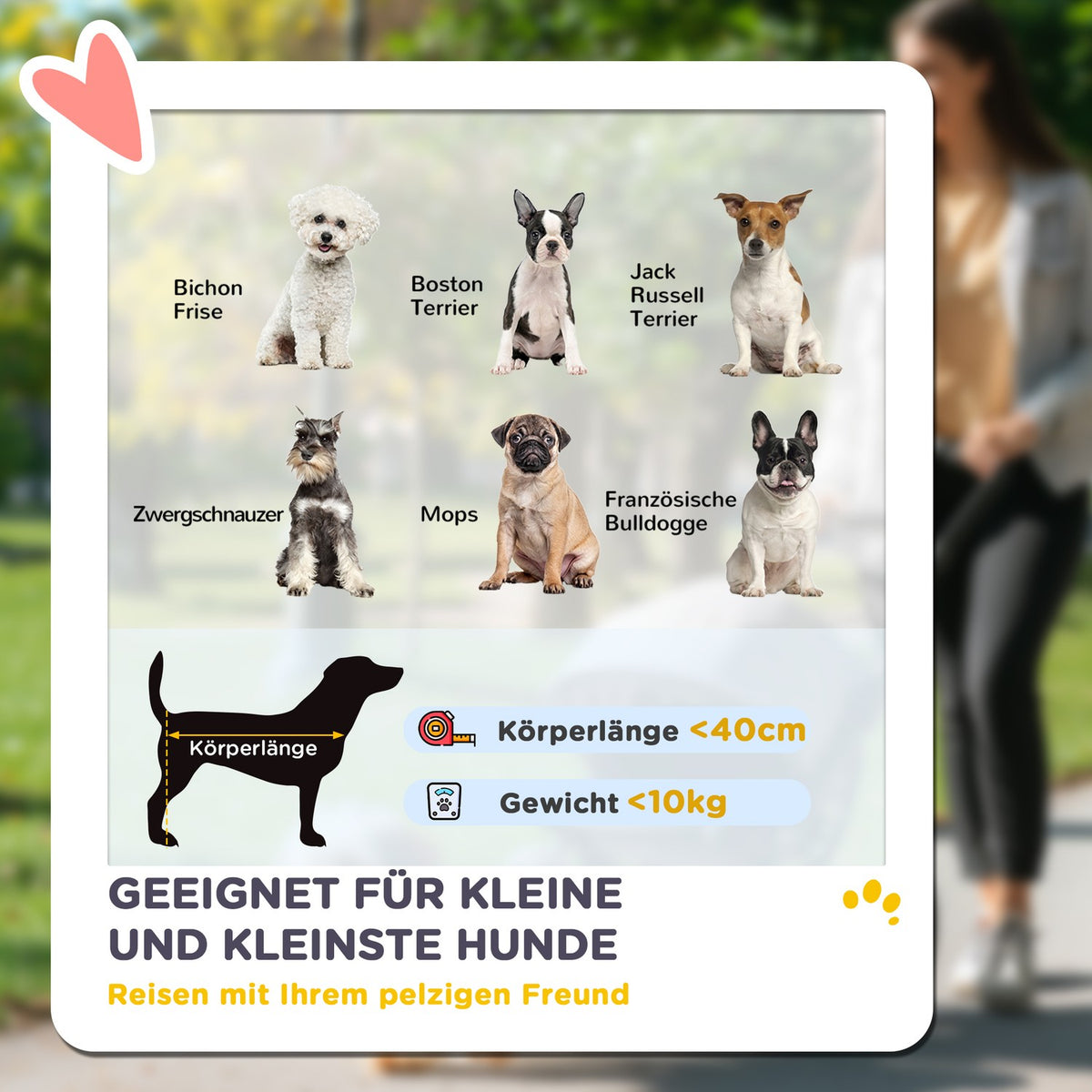 Dog stroller, light dog stroller made of aluminum, foldable for dogs and cats up to 10 kg, cat stroller with cushions, mesh windows, doors, storage basket, cat stroller, buggy, khaki