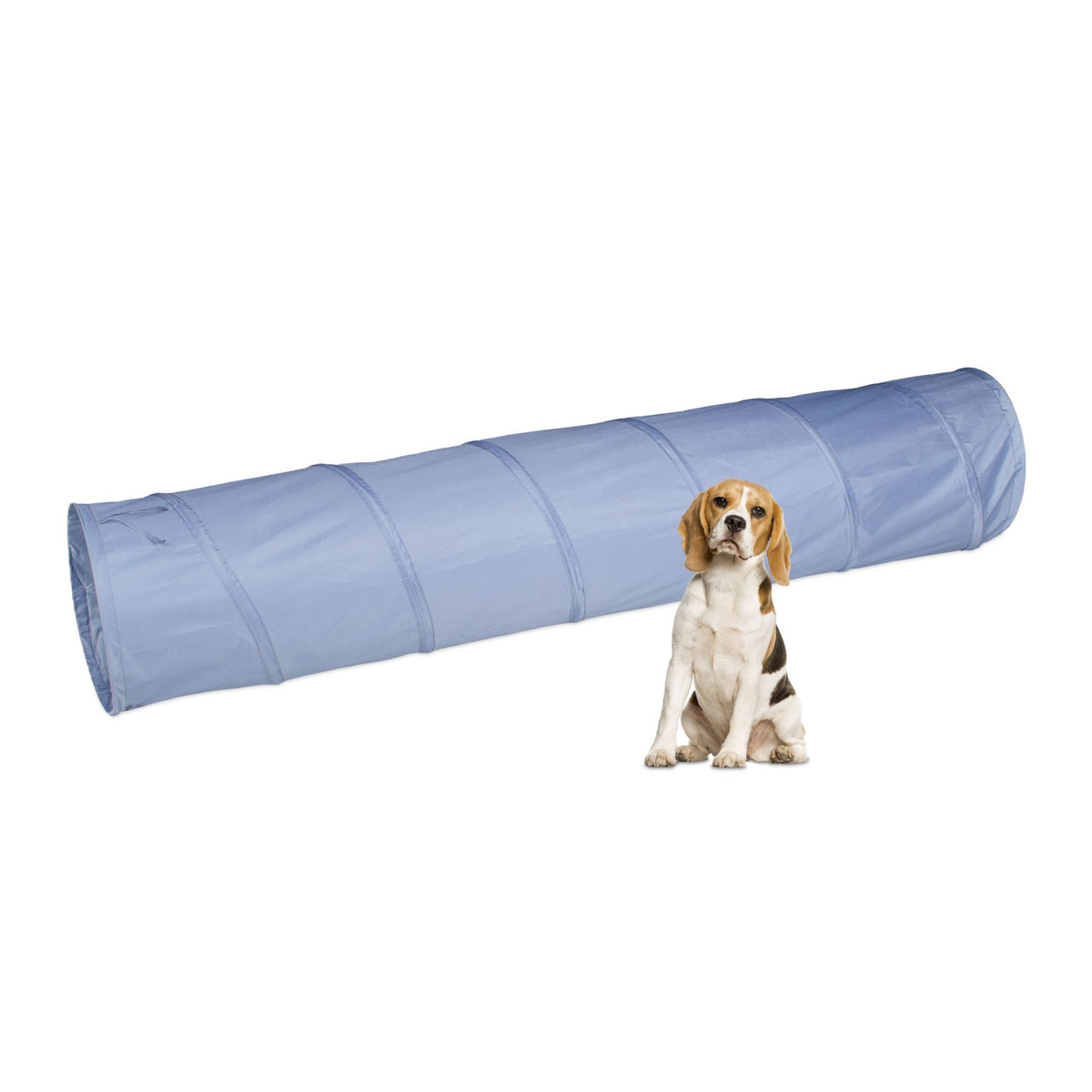 Dog tunnel agility 2m