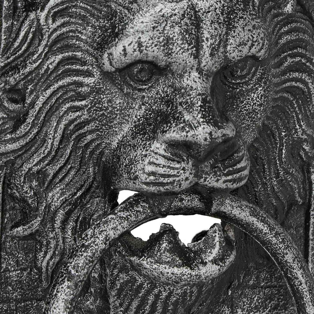 Door knocker lion