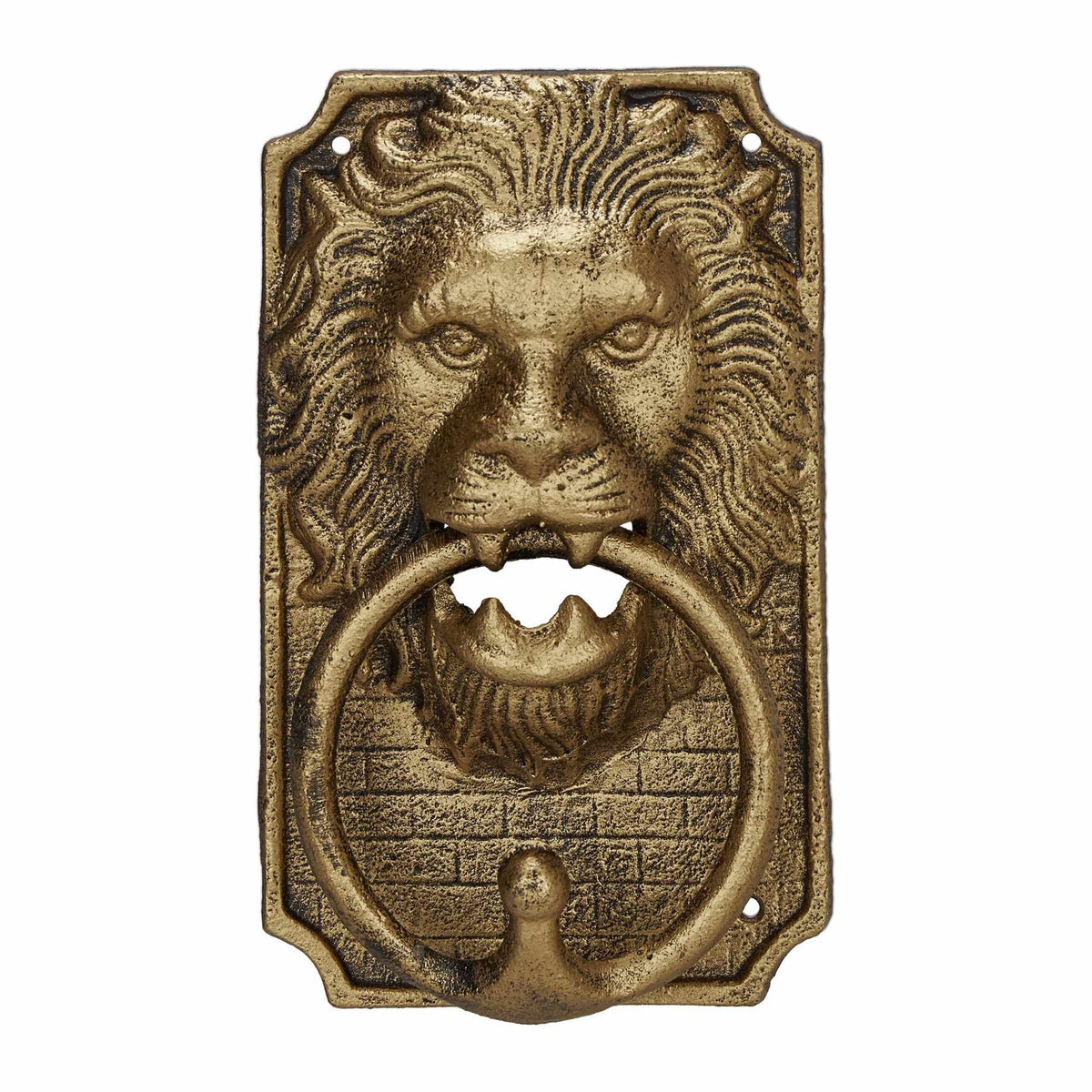 Door knocker lion