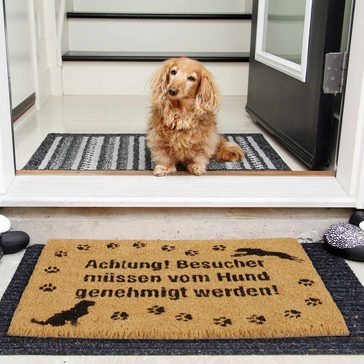 Doormat Coconut Dog
